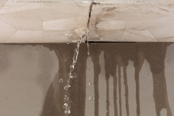 Professional Burst Pipe Cleanup technician working in Tremonton, UT